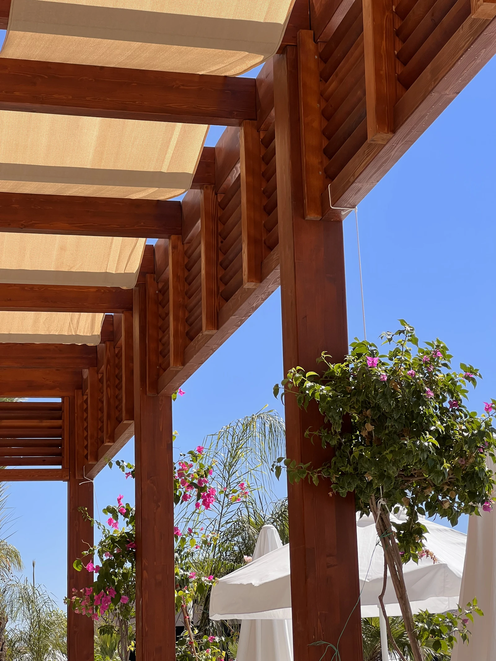 Pergola con cielo azzurro